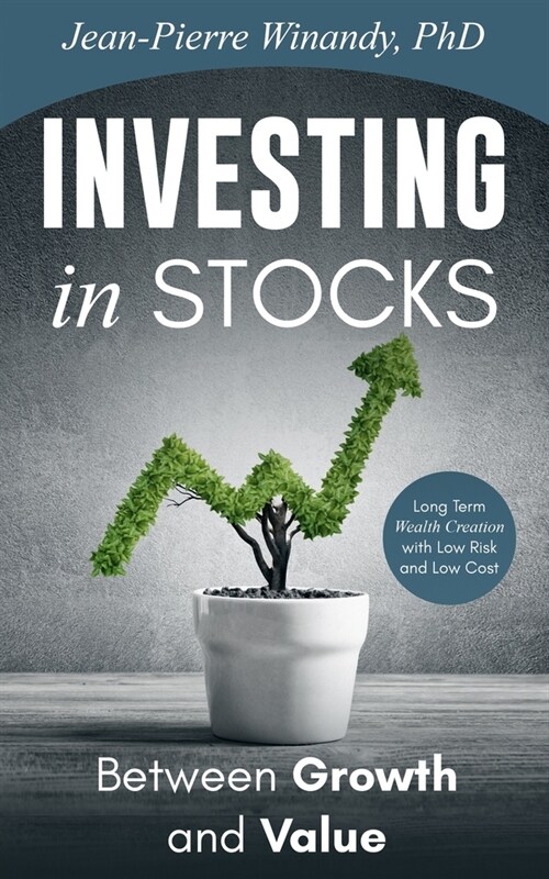 Investing in Stocks: Between Growth and Value: Long Term Wealth Creation With Low Risk and Low Cost (Paperback)