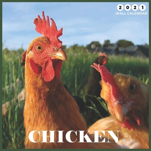 Chicken 2021 Wall Calendar: Beautiful Chickens Wall Calendar 8.5 x 8.5 glossy finish (Paperback)