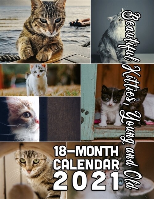 Beautiful Kitties, Young and Old! 18-Month Calendar 2021: October 2020 through March 2022 (Paperback)