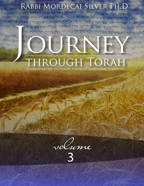 Journey Through Torah, Volume 3 (Paperback)