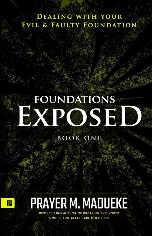 Foundations Exposed (Book 1): Dealing with your Evil & Faulty Foundation (Paperback)