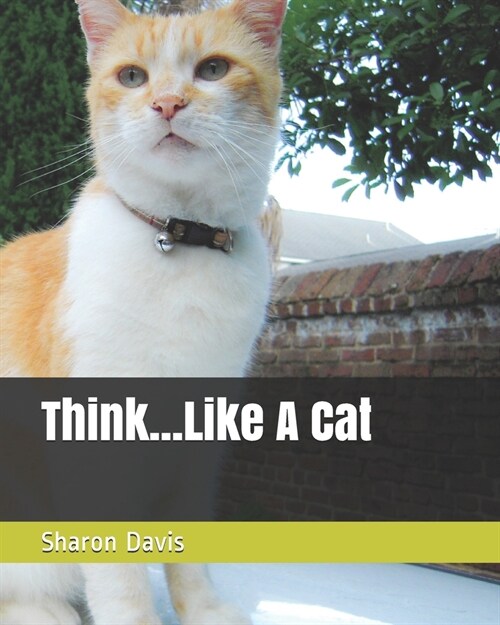 Think...Like A Cat (Paperback)