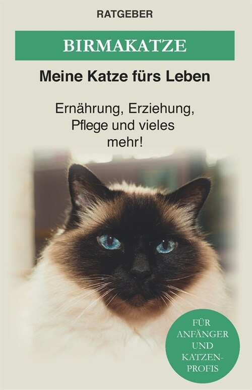 Birma Katze: Die heilige Birma Katze - Ern?rung, Erziehung, Pflege und vieles mehr! (Paperback)