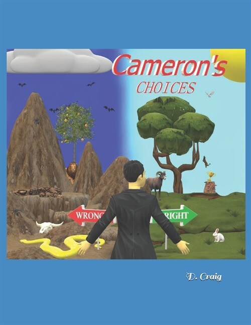 Camerons Choices (Paperback)