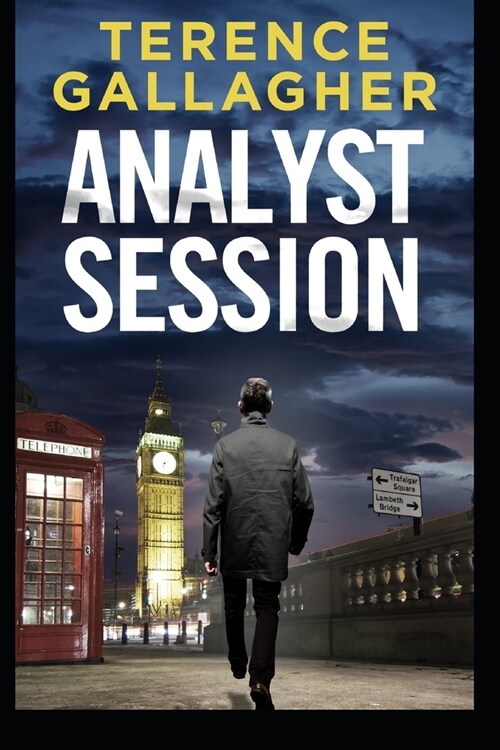 Analyst Session (Paperback)