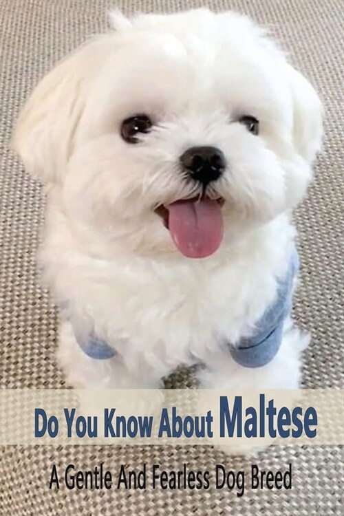 Do You Know Maltese: A Gentle And Fearless Dog Breed: Gentle And Fearless Maltese Dog Book (Paperback)