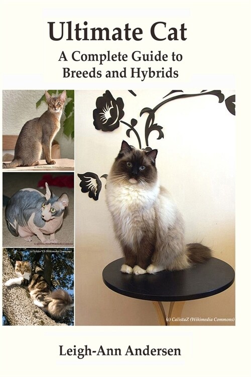 Ultimate Cat: A Complete Guide to Breeds and Hybrids (Paperback)