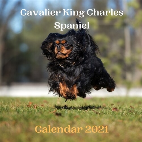 Cavalier King Charles Spaniel Calendar 2021 (Paperback)