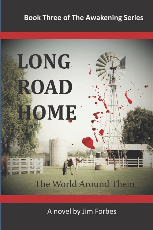 Long Road Home: The World Around Them (Paperback)