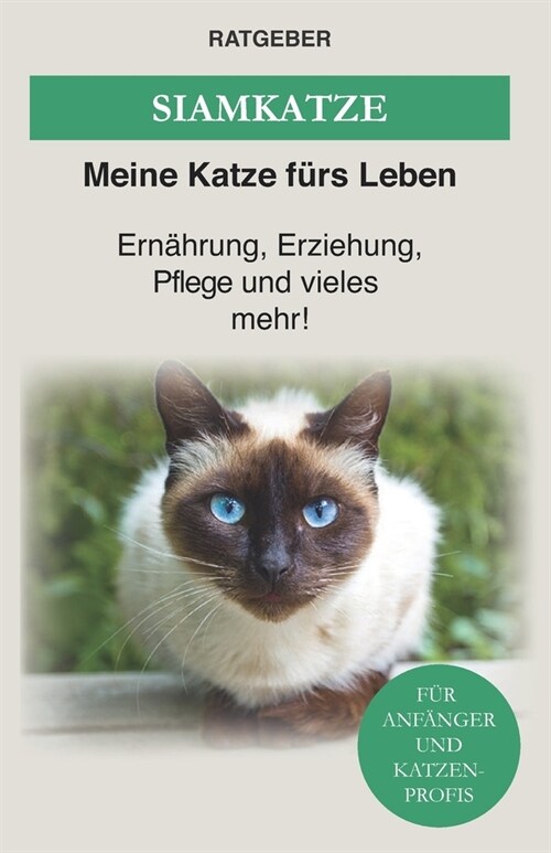 Siam Katze: Siamkatze - Ern?rung, Erziehung, Pflege und vieles mehr! (Paperback)
