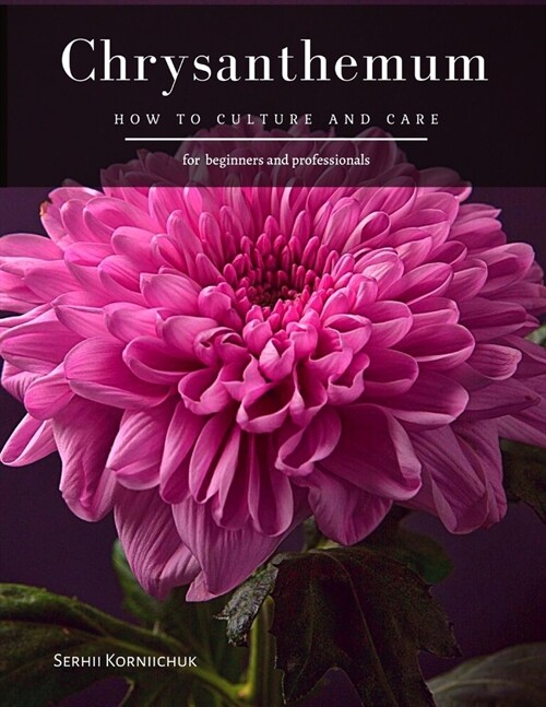 Chrysanthemum: How to Culture and Care (Paperback)