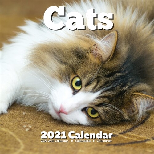 Cats 2021 Calendar: Lover Gifts (Paperback)