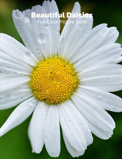 Beautiful Daisies Full-Color Picture Book: Flower Picture Book for Children, Seniors and Alzheimers Patients -Flowers Nature Gardening (Paperback)