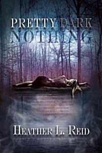 Pretty Dark Nothing (Paperback)