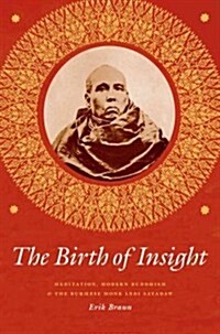 The Birth of Insight: Meditation, Modern Buddhism, and the Burmese Monk Ledi Sayadaw (Hardcover)