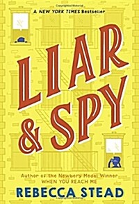 Liar & Spy (Paperback)