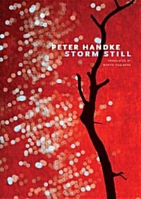 Storm Still (Hardcover)