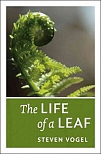 The Life of a Leaf (Paperback)