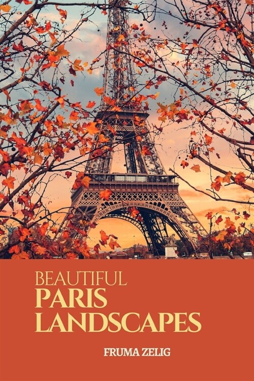 Beautiful Paris Landscapes: An Adult Picture Book and Nature City Travel Photography Images with NO Text or Words for Seniors, The Elderly, Dement (Paperback)