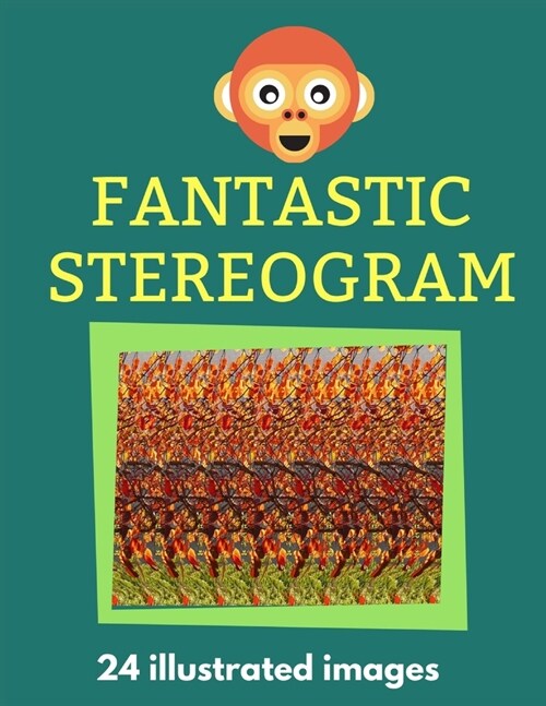 Fantastic Stereogram: 24 Illustrated Images (Paperback)