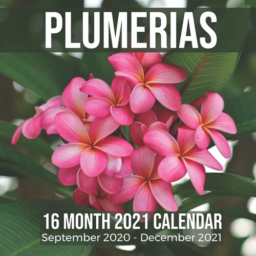 Plumerias: Photo Calendar 16 Month September 2020 - December 2021 (Paperback)