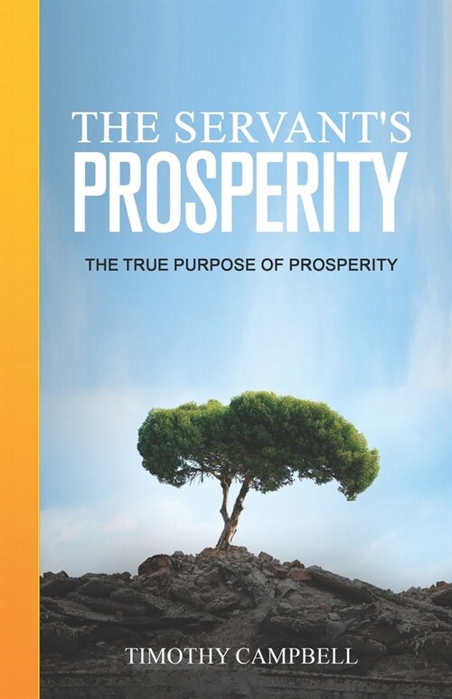 The Servants Prosperity: The True Purpose of Prosperity (Paperback)