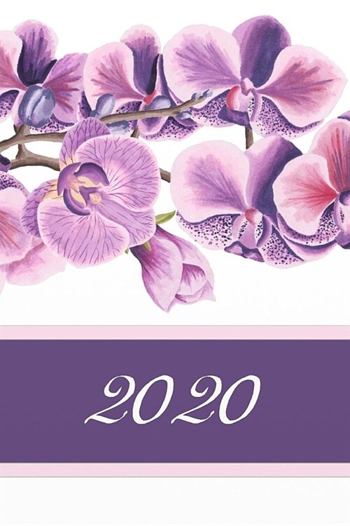 2020: Agenda semainier 2020 - Calendrier des semaines 2020 - Turquoise pointill?- Fleurs Orchid?s (Paperback)