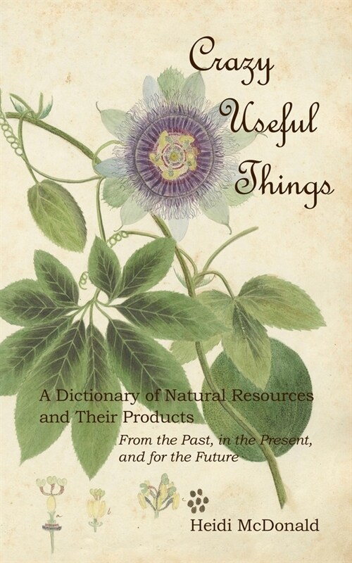 Crazy Useful Things: A Dictionary of Natural Resources and Their Products (Paperback)