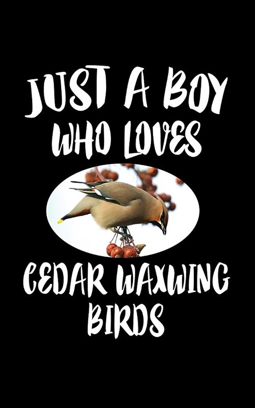 Just A Boy Who Loves Cedar Waxwing: Animal Nature Collection (Paperback)