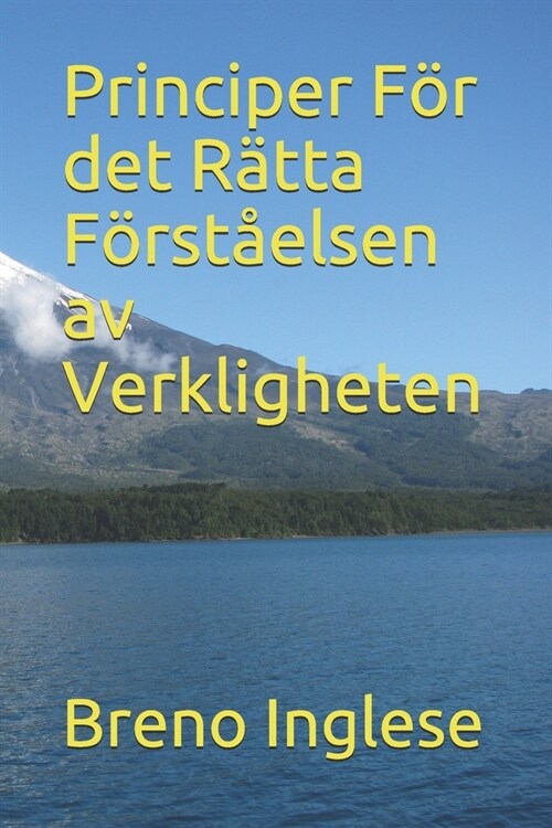 Principer F? det R?ta F?st?lsen av Verkligheten (Paperback)