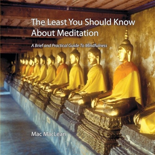 The Least You Should Know About Meditation: A Brief and Practical Guide to Mindfulness (Paperback)