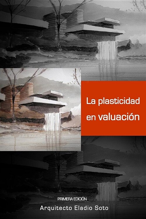 La Plasticidad En Valuaci? (Paperback)