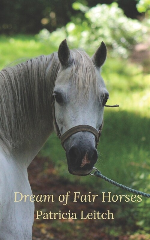 Dream of Fair Horses (Paperback)