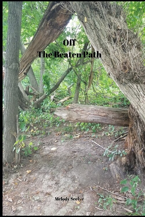 Off the Beaten Path: Wilderness Adventure Log Book (Paperback)