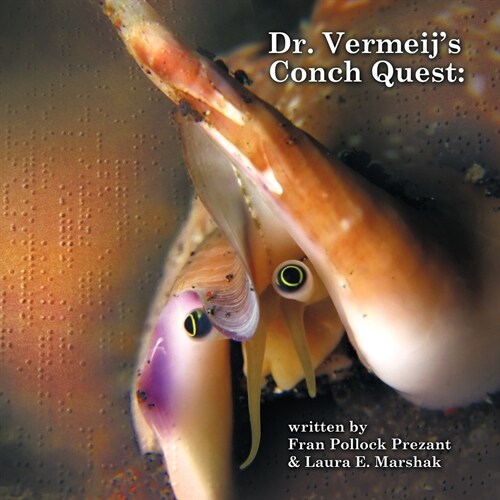 Dr. Vermeijs Conch Quest (Paperback)