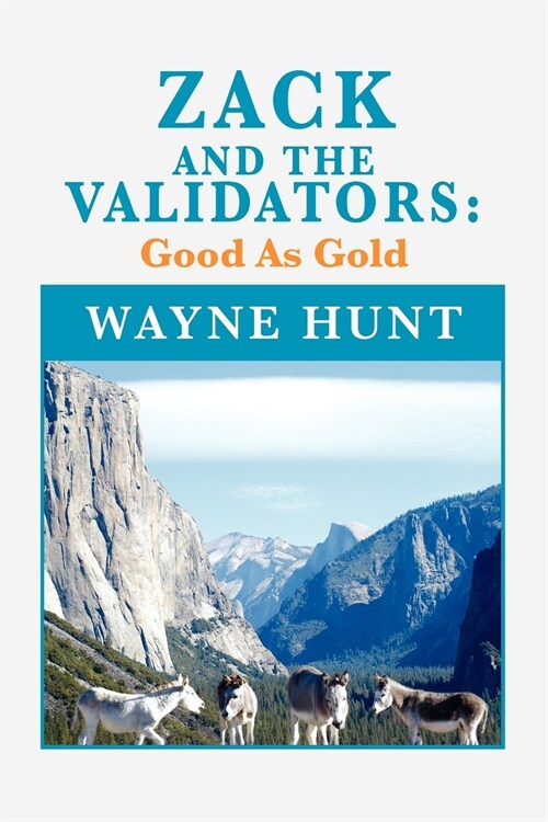 Zack and the Validators: Good as Gold (Paperback)