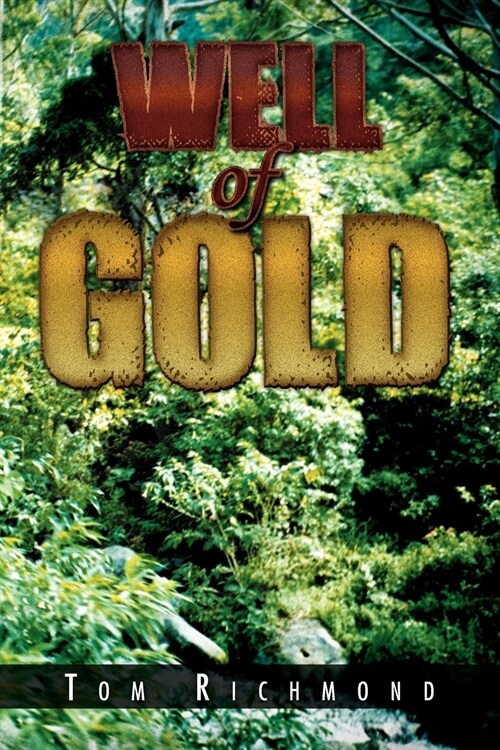 Well of Gold (Paperback)