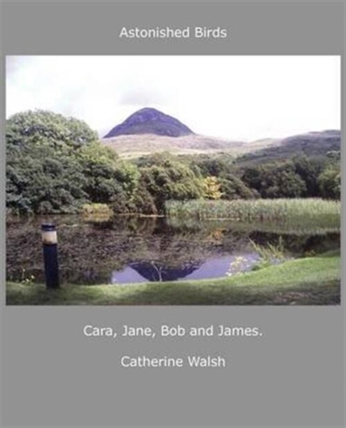 Astonished Birds Cara, Jane, Bob and James. (Paperback)