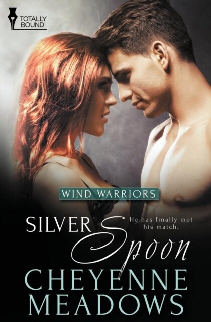 Wind Warriors : Silver Spoon (Paperback)