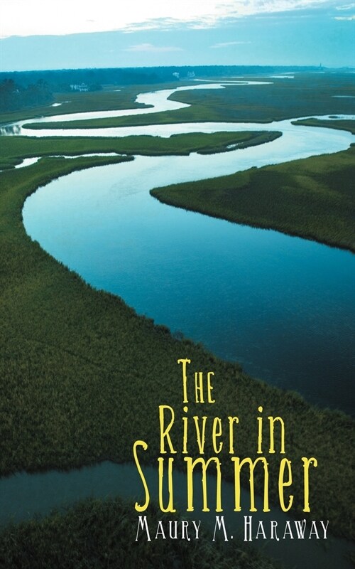 The River in Summer (Paperback)