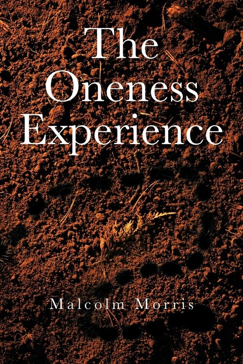 The Oneness Experience (Paperback)