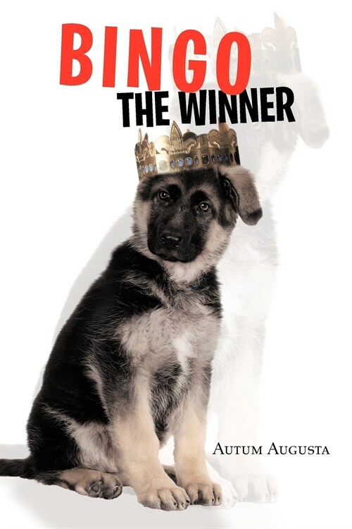 Bingo the Winner (Paperback)