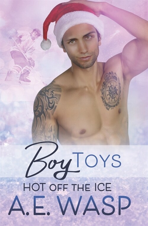 Boy Toys (Paperback)