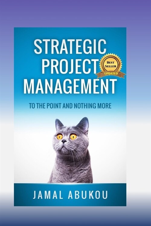 Strategic Project Management: To The Point And Nothing More (Paperback)