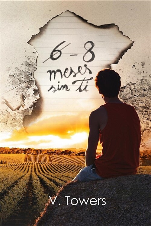 6 - 8 Meses Sin Ti.: (segunda Parte de Mi Mujer Perfecta) (Paperback)