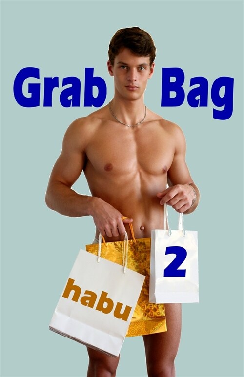 Grab Bag 2: An Unthemed Gay Erotica Anthology (Paperback)