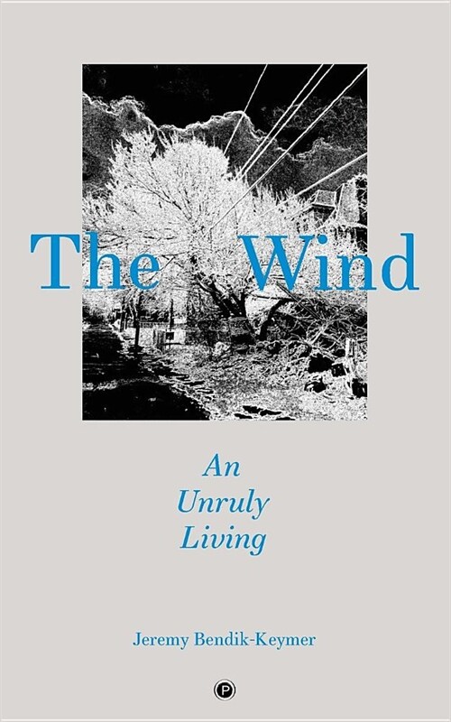 The Wind: An Unruly Living (Paperback)