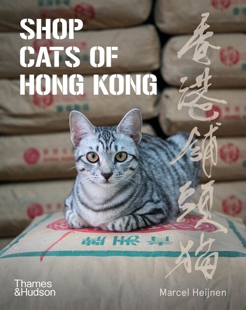 Shop Cats of Hong Kong (Paperback)