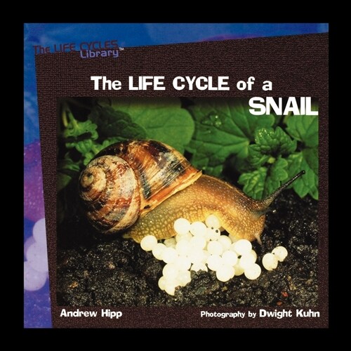 The Life Cycles of a Snail (Paperback)