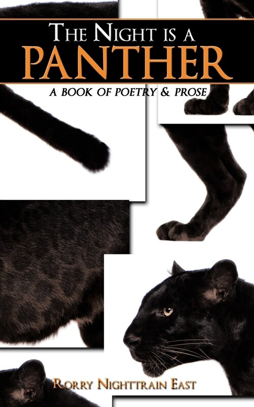 The Night Is a Panther: A Book of Poetry & Prose (Paperback)